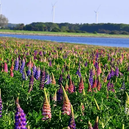 Lango Fjord Glamping Nr 3 *
