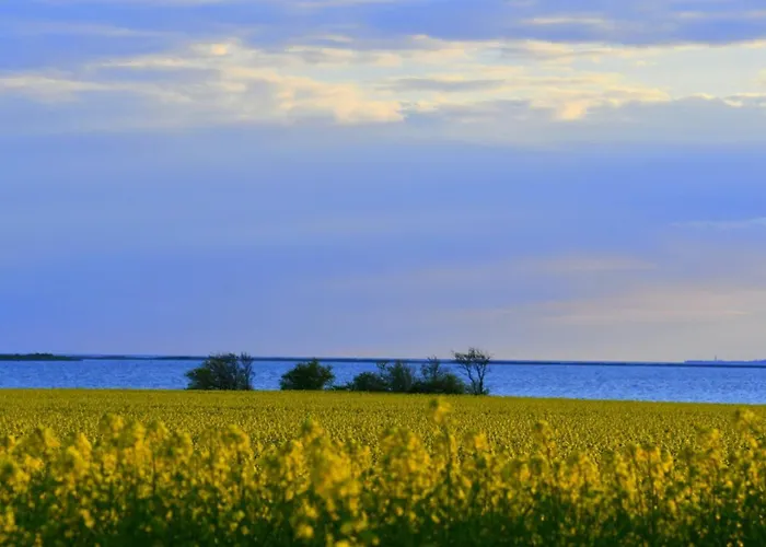 Lango Fjord Glamping Nr 3 Nakskov